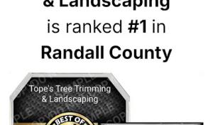 Tope's Tree Trimming & Landscaping