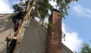 Alvarado Landscaping