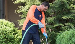 SavATree - Tree Service & Lawn Care