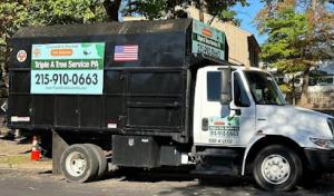 PA Triple A Tree Service