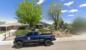 Colorado Land & Tree