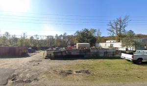 Ascension Tree & Stump