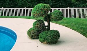 P&S Contracting & Landscape