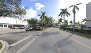 Absolute Tree Removal Service