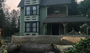 Lumberjack Tree Pros