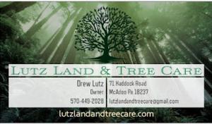 Lutz Land & Tree Care