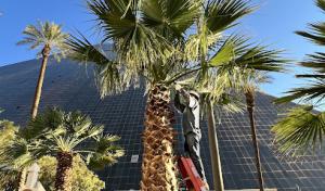 First Choice Tree Service