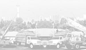 Vegas Best Tree Service – Tree Removal, Trimming & Stump Grinding