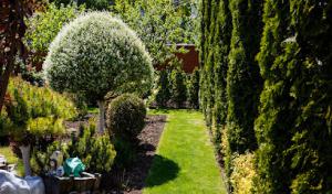 Lemus Tree Service & More