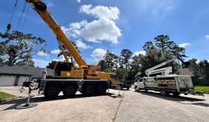 Quality Tree Service