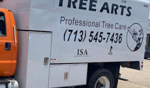 Tree Arts