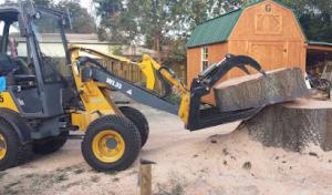 Wayne's Tree Service