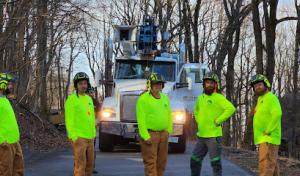 Bledsoe Tree Service