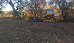Justintime Tree Removal Stump Grinding & Excavating