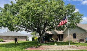 Arbor Care Tree & Landscaping