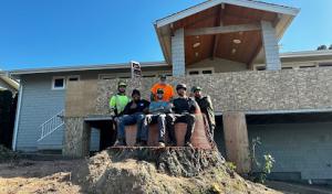 Dead Or Alive Tree Service