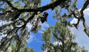 Branch Out Tree Solutions