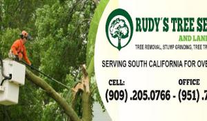 Rudy´s Tree Service