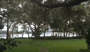 Barefoot Tree Service