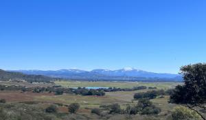 Fireprotec Weed & Brush Services