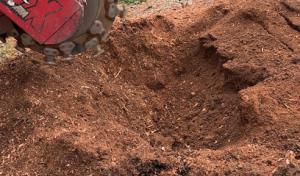 Thomas Stump Grinding