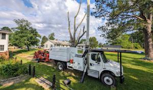 Rolling Oak Tree Service
