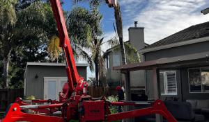 Norcal Arborists