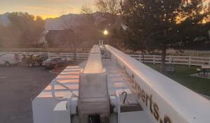 Diamond Tree Experts