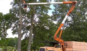 Valley Tree Service