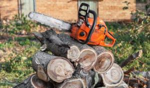 El Gabilan Tree Service