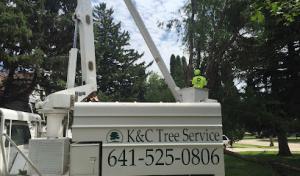 K&C Tree Service