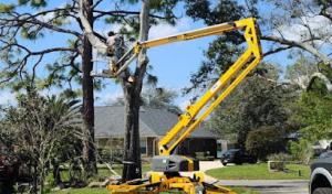 East Coast Arbor Pro