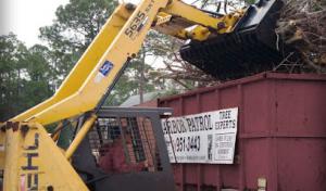 Arbor Patrol Tree Service