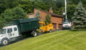 Orange County Tree Service