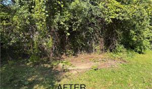 Mid Mitten Outdoor Solutions