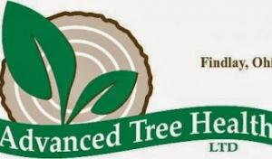 Advanced Tree Health