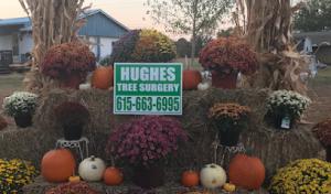 Hughes Tree Service of Murfreesboro