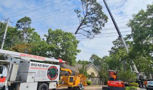 Saw-Rite Tree Service