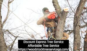Discount Express Tree Service