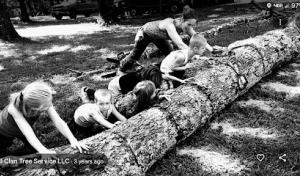 Hill Clan Tree Service