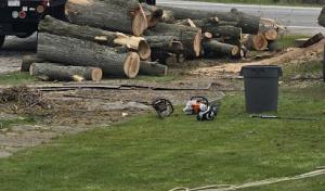 Smith's Tree Service