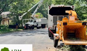 ADM Tree Services