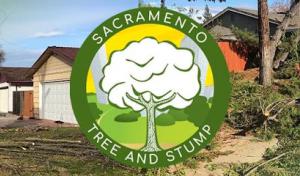 Sac tree & stump