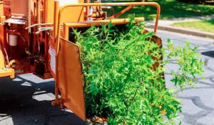 Wood Sacramento T﻿re﻿e S﻿erv﻿ice﻿s