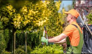 Americus Tree & Landscape Design