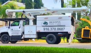 Accuex Septic Excavating