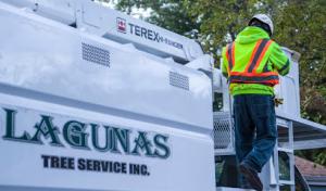 Lagunas Tree Service