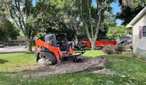 Big Bark Tree Taming