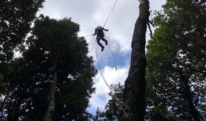 Minners Tree Company