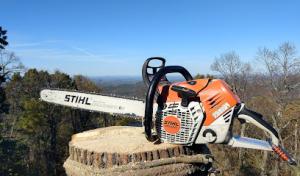 Timber Works Tree Care